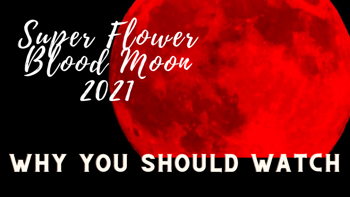 Blood Moon & Lunar&nbsp;Eclipse